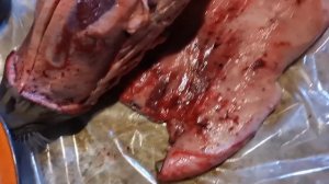 Разделка нерпы.