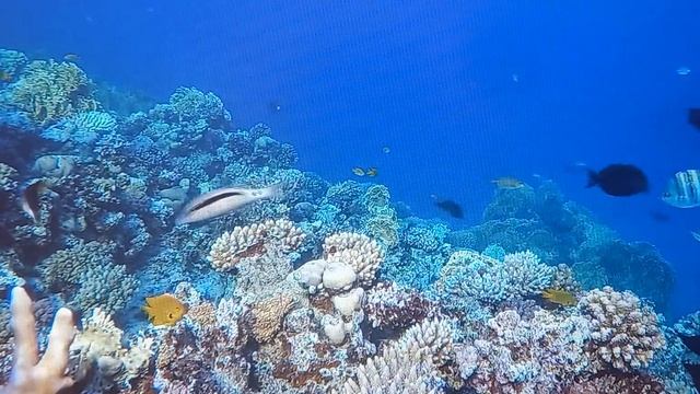 Релакс, спокойствие. #море#релаксация#cон смотреть онлайн