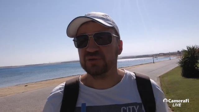 Как открыть маркетинговое агентство в своем городе? ?Обращение к партнёрам маркетингового агентства