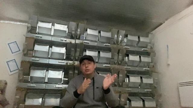 КАК СТАТЬ УСПЕШНЫМ ШИНШИЛЛОВОДОМ | ШИНШИЛЛОВАЯ ФЕРМА | ФЕРМА ШИНШИЛЛ