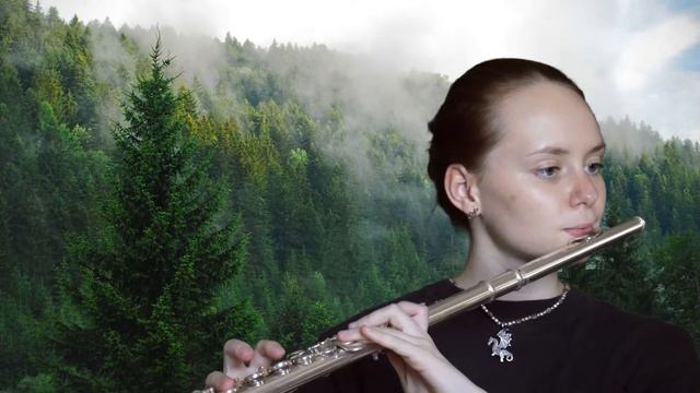 How to Train Your Dragon - Forbidden Friendship (Flute Cover) + Sheet Music смотреть онлайн