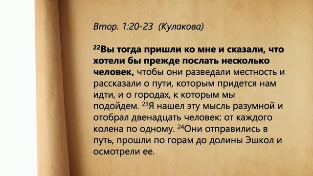 "Два взгляда на жизнь" Александр Скибельский смотреть онлайн