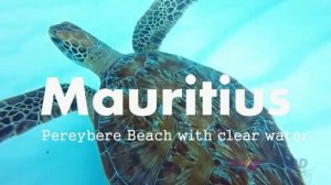 Pereybere Beach - Mauritius
