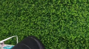 Фитостена, самшит искусственный, искусственная зелень