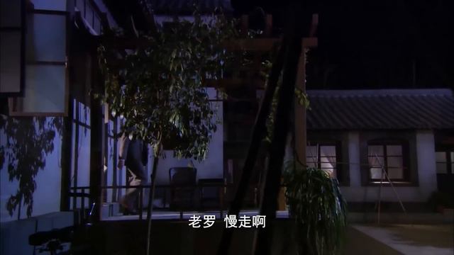 【FULL】灰姑娘差点被车夫强奸,没想到救她的竟是她刚满月的儿子!#chinesedrama