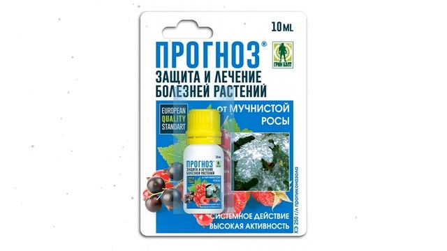 Защита от мучнистой росы Прогноз (Грин Бэлт), 10мл. обзор 01-682 смотреть онлайн