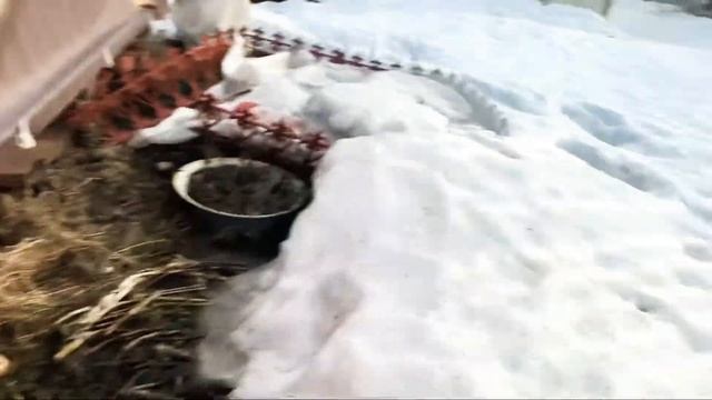 Свершилось чуда Пучения Грунта , Фасадные Панели Вздулись ?♂️ смотреть онлайн