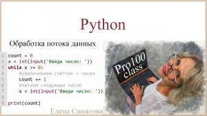 Python в ЕГЭ. Первые шаги. Обработка потока данных