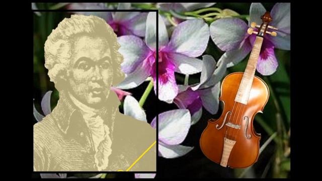 Chevalier de Saint-George - Symphonie Op. 11 No 1 in G major (1779) - Conductor Paul Freeman 1974 смотреть онлайн