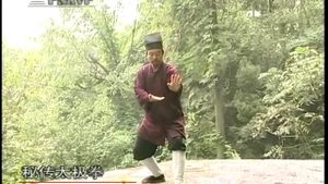 Сущность Уданского Тайцзи. Ч. 1