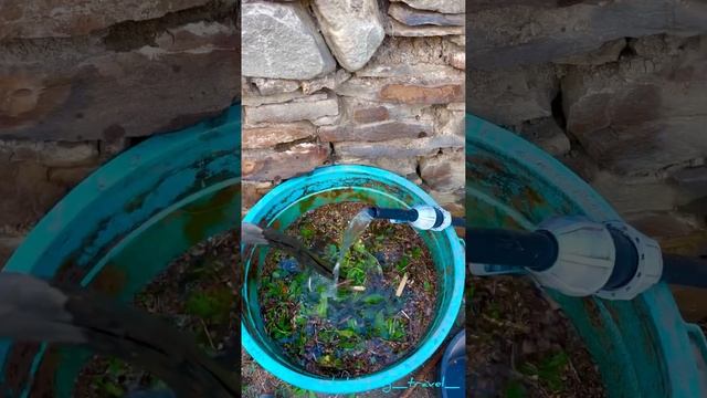 Азотное удобрение для плодовых деревьев ??☘️ смотреть онлайн