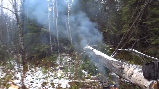 "Один в тайгу" Я и не мечтал такое найти! смотреть онлайн