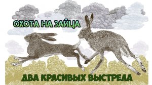 Охота на зайца 2021. Два красивых выстрела. Hunting for hares.mp4