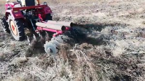 Шифенг 244 + китайская дисковая борона по песку