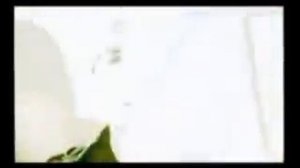 Плохие Белые - В белом Гетто.wmv