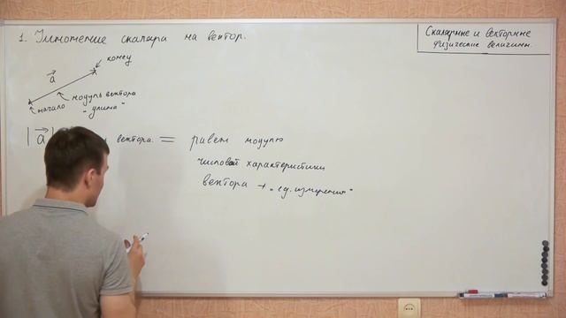 СКАЛЯРНЫЕ И ВЕКТОРНЫЕ ВЕЛИЧИНЫ | ЧАСТЬ 1 | ФИЗИКА - ЕГЭ 2024
