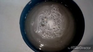 Дрожжевая подкормка для рассады .