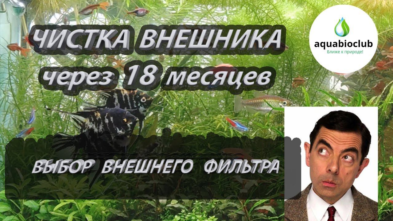 Чистка фильтра TETRA EX 1200 plus через 18 м. Наполнители внешних фильтров и выбор внешнего фильтра. смотреть онлайн