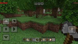 выживания в мире майнкрафт!