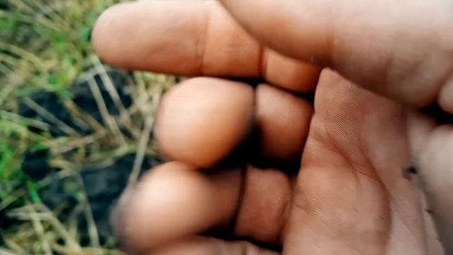 Серебро от земляного деда! Отличный коп! XP DEUS. смотреть онлайн