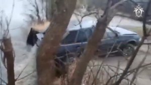 В этой машине утонула Алина