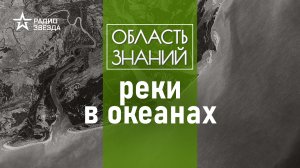 Откуда в океане пластик? Лекция океанолога Александра Осадчиева.