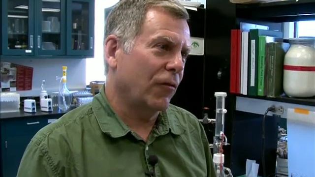 What is the Falling Number Test смотреть онлайн