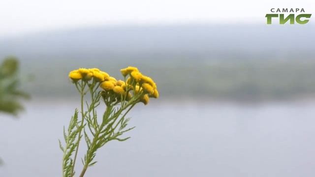 Одно из самых мифических мест на земле находится в Самарской Луке. Маленькое самобытное село Ширяев смотреть онлайн