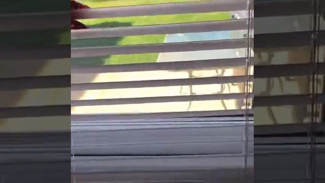 Как чистить горизонтальные жалюзи?м смотреть онлайн