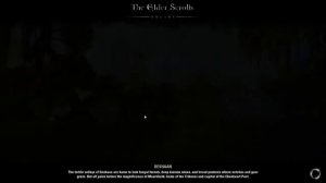 Elder Scrolls Online Bug - Infinite Loading Screen Cycle