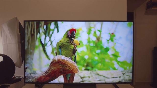 Samsung Crystal UHD 4K TV 2021 | AU9070 | Unboxing and Initial Impressions | Punchi Man Tech | Hind смотреть онлайн