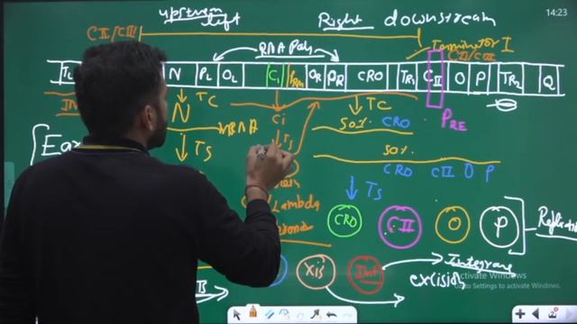 Gene Regulation | Lambda Phage | CSIR Live Series | IIT JAM | GATE | Biology Academy
