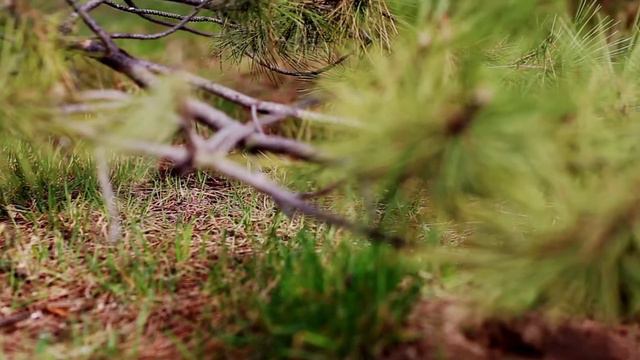 Миллашина весна 2016 смотреть онлайн