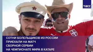 Сотни болельщиков из России приехали на матч сборной Сербии на чемпионате мира в Катаре