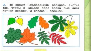 Окружающий мир. Рабочая тетрадь 1 класс 1 часть. ГДЗ стр. 15 №2