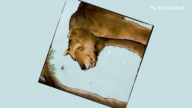 Собака и медведь (картинка перевертыш) смотреть онлайн