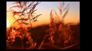 ГОДЫ ! Ну, куда вы , куда вы летите?