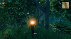 Valheim ➣ Оптимальные настройки графики