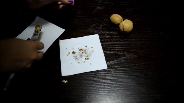 Исследование наличия углеводов, белков, жиров в продуктах питания смотреть онлайн