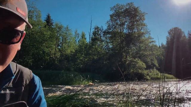 Ловля голавля по низкой воде, разловил T.H. Tackle hamamushi смотреть онлайн