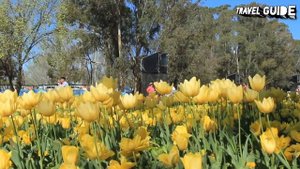 CANBERRA TRAVEL GUIDE 2022 - BEST PLACES TO VISIT IN CANBERRA AUSTRALIA IN 2022