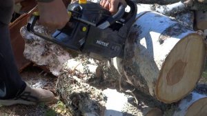 Бензопила HUTER BS-62. 3,9л.с.. Правда или нет??? Пилим берёзу.