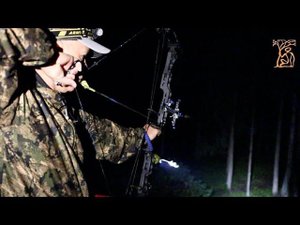 СТРЕЛЬБА ИЗ ЛУКА И АРБАЛЕТА НОЧЬЮ