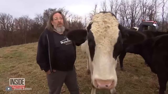 Самые Большие Животные, Которых Выращивают на Фермах смотреть онлайн