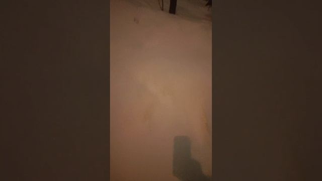 ✨🌟💫Хорошего зимнего вечера❄❄❄!#зима#мороз#beautifu#newvideo#снегопад#метель#сугробы#зимнийвечер#