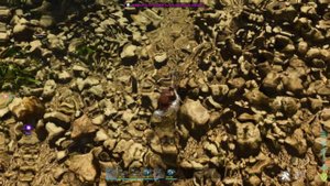 Полный гайд по наплечным животным в ARK: Survival Ascended