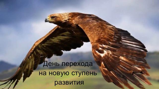 14 Марта День перехода на новую ступень развития и духовного роста смотреть онлайн