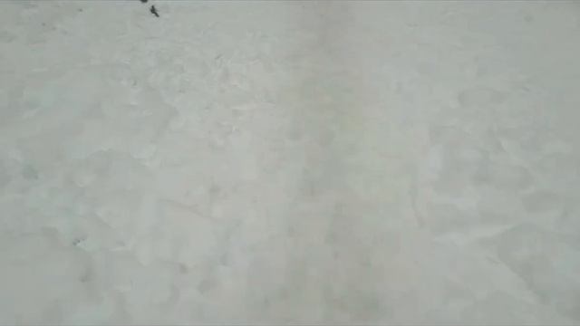 МУРИНО Выбрасывают из окон? смотреть онлайн