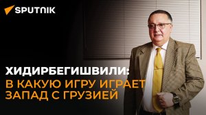 Туманные обещания – политолог о том, как Запад подложил Грузии «сыр в мышеловку»