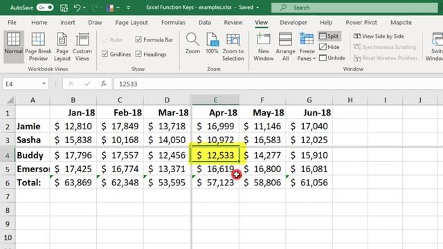 Excel Function Keys Shortcuts - Tutorial